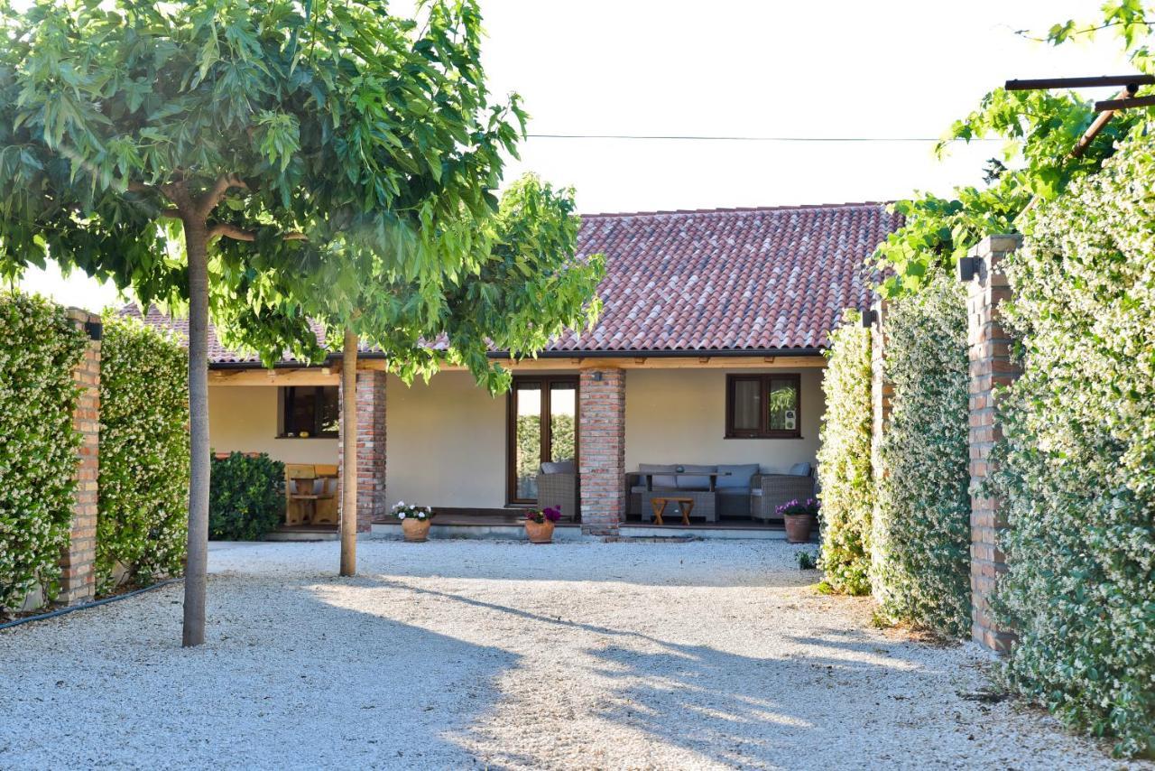 Villa Navita Augustinus With Pool Debeljak Exterior foto