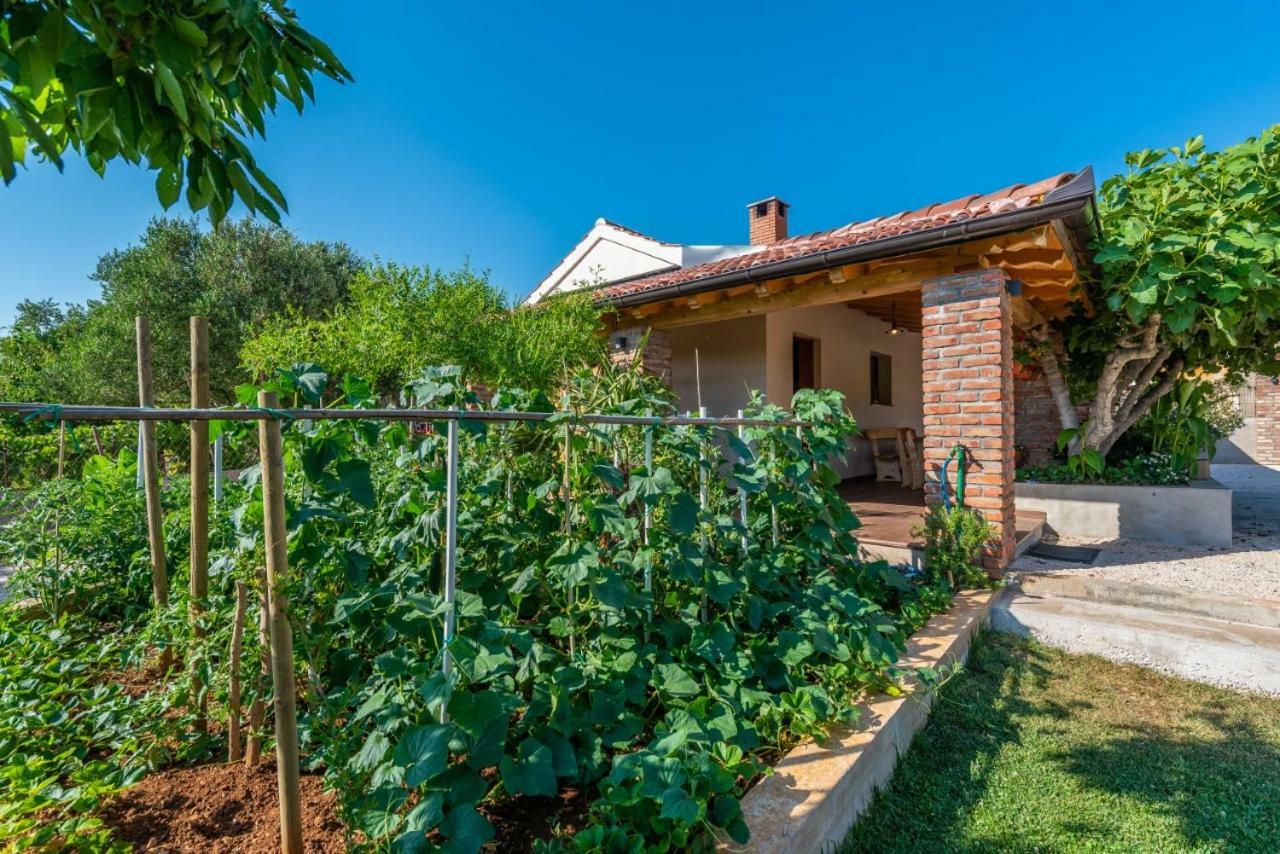 Villa Navita Augustinus With Pool Debeljak Exterior foto